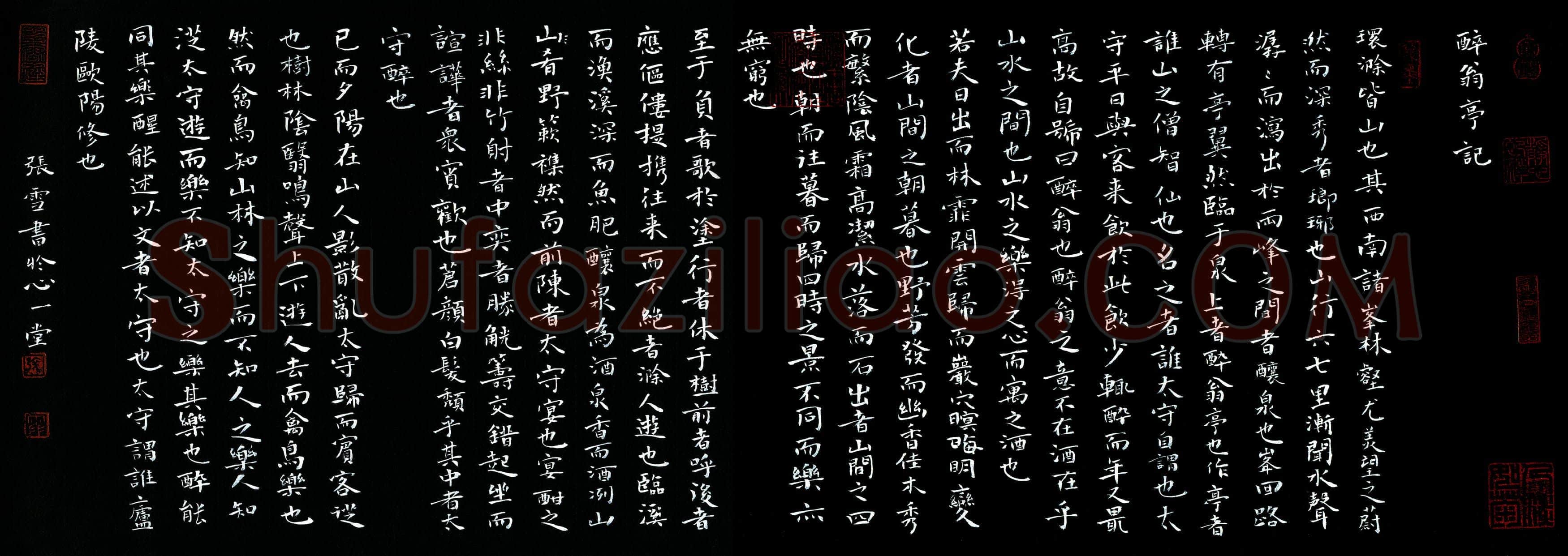 张雪(成人组)硬笔书法大赛入围作品选登,张雪硬笔书法作品
