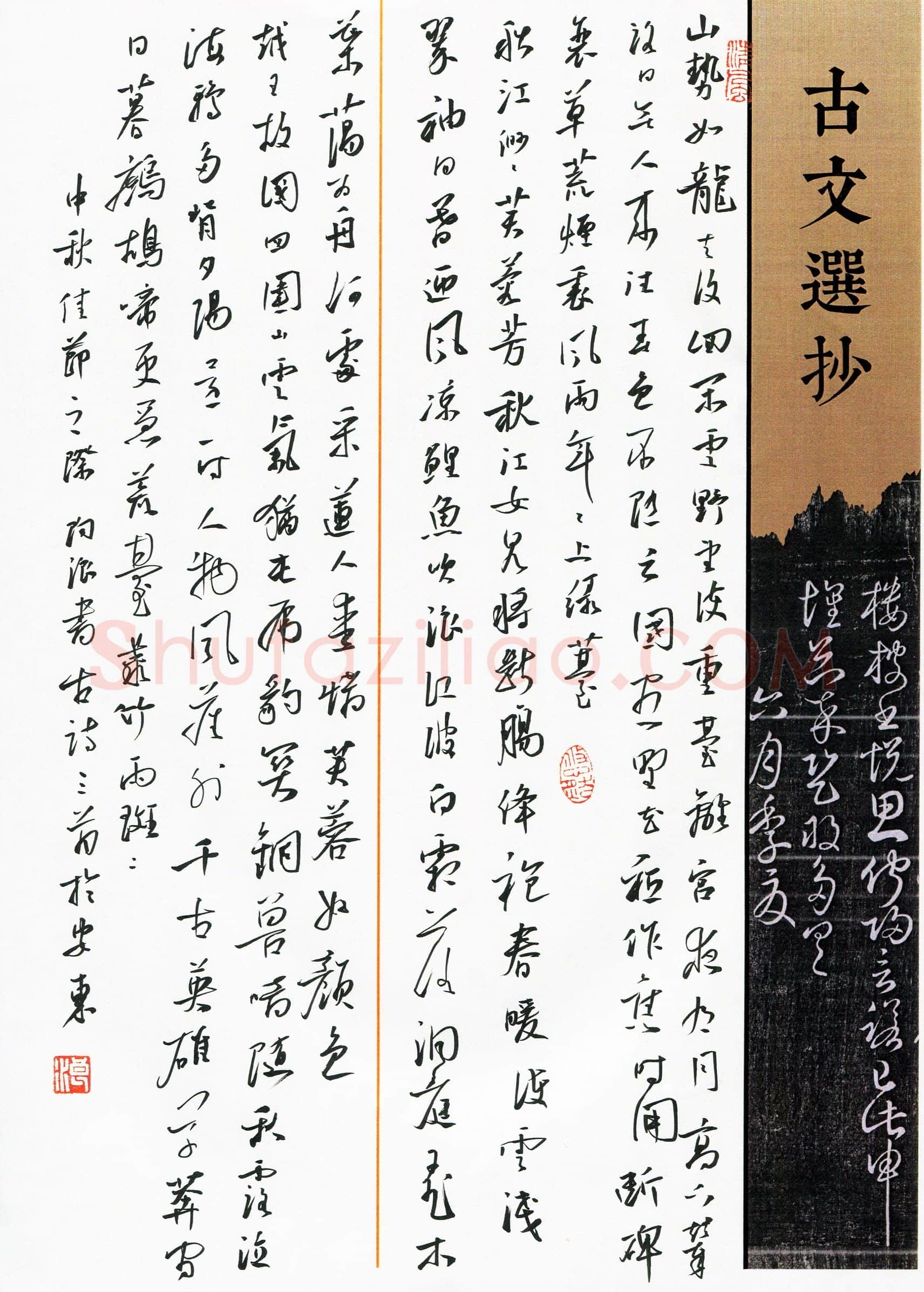 陶浪(成人组 银奖)硬笔书法大赛获奖作品,陶浪硬笔书法作品