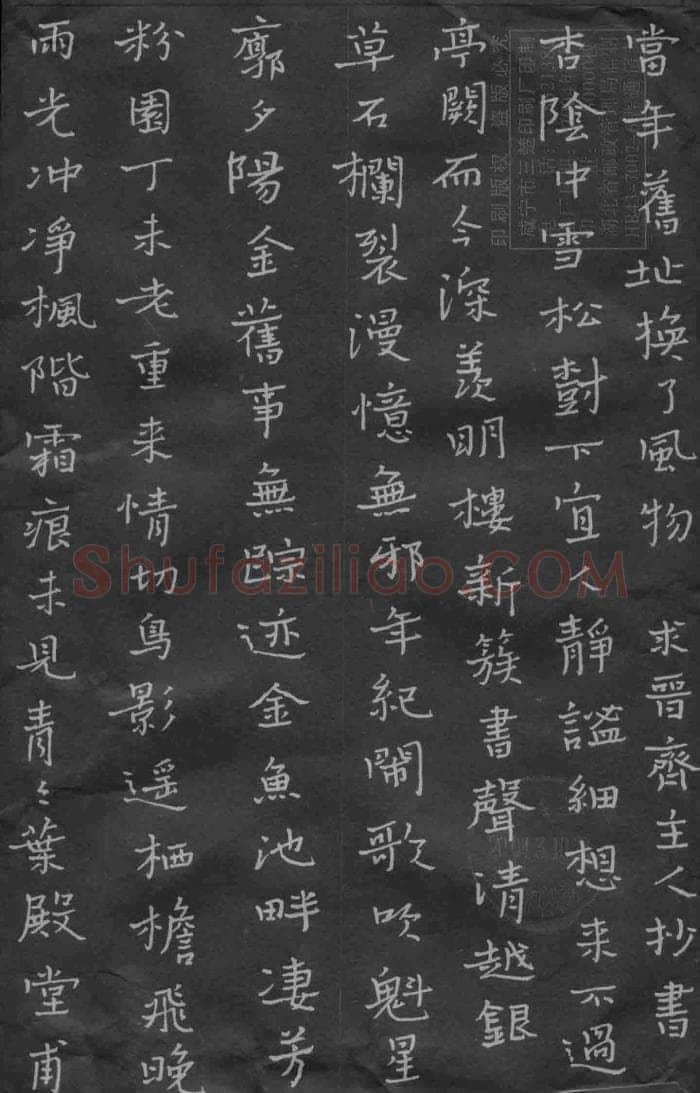 陈泽忠硬笔楷书雨光冲净,陈泽忠硬笔书法作品