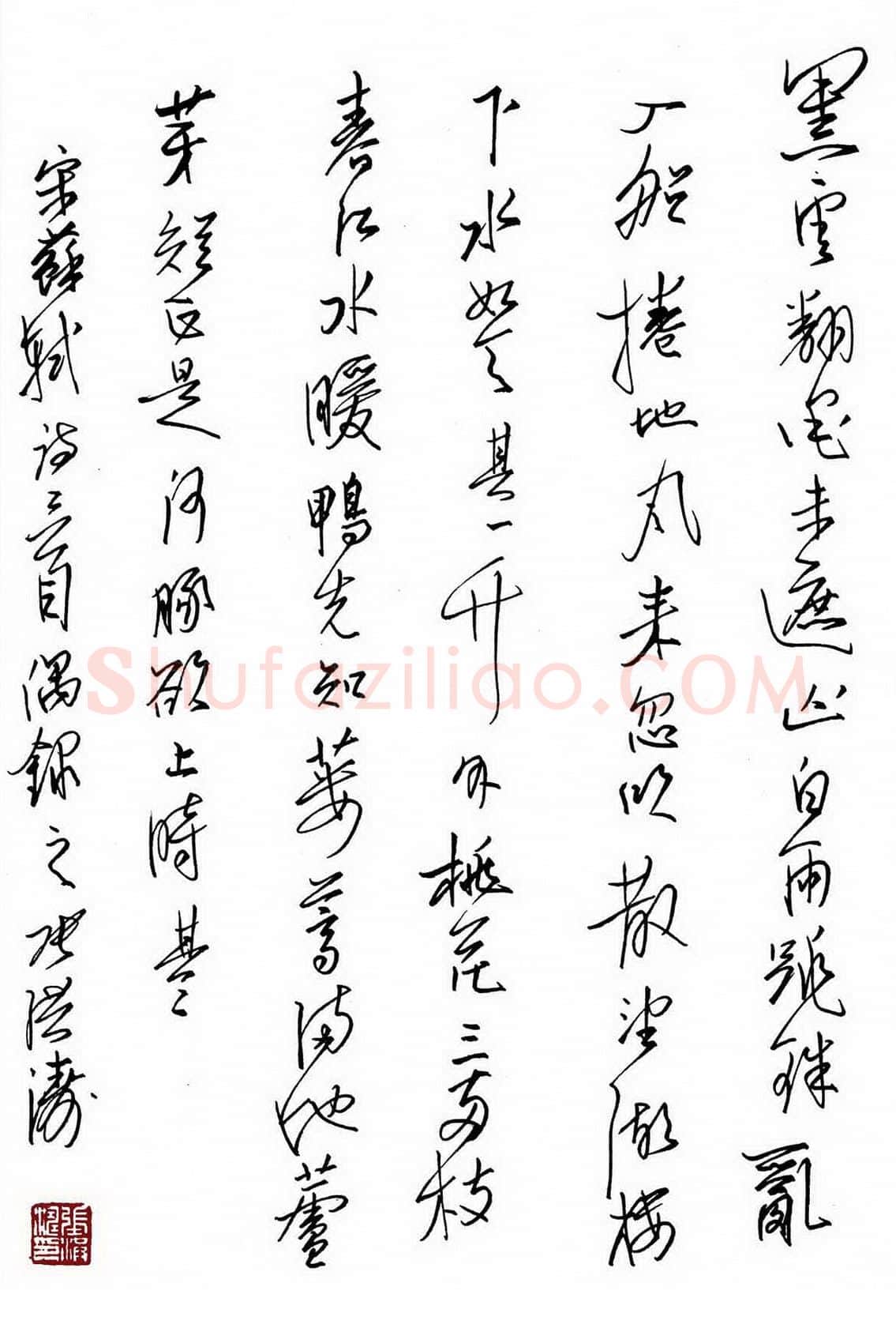 张洪涛硬笔行草苏轼诗二首,张洪涛硬笔书法作品