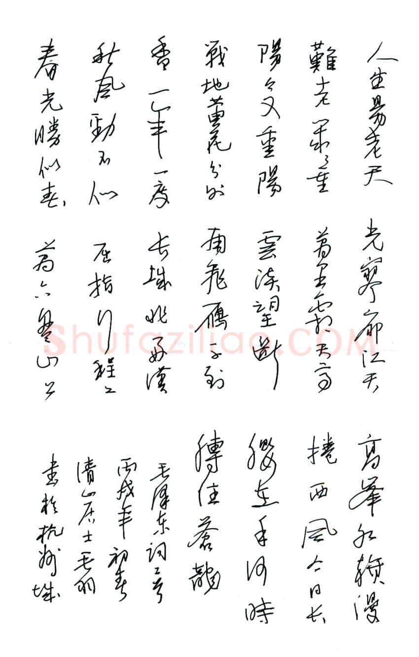 陈碧秋硬笔行草毛泽东词一首,硬笔书法作品