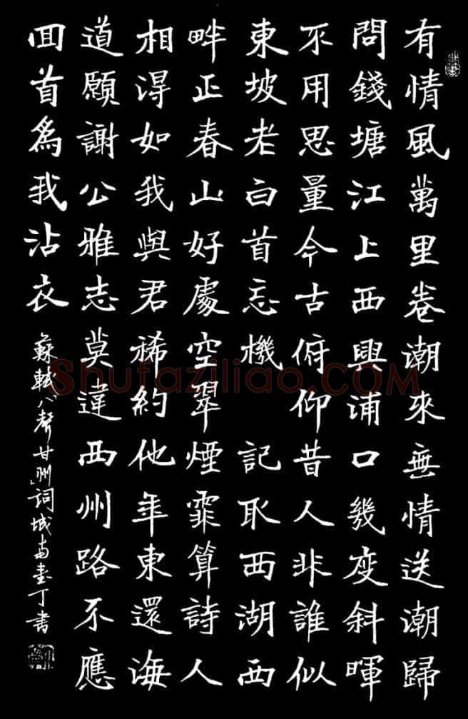 丁宁硬笔楷书苏轼八声甘州词,丁宁硬笔书法作品