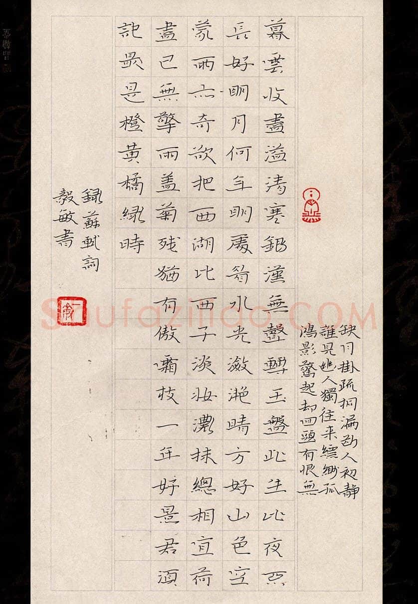 闻毅敏硬笔楷书苏轼词,闻毅敏硬笔书法作品