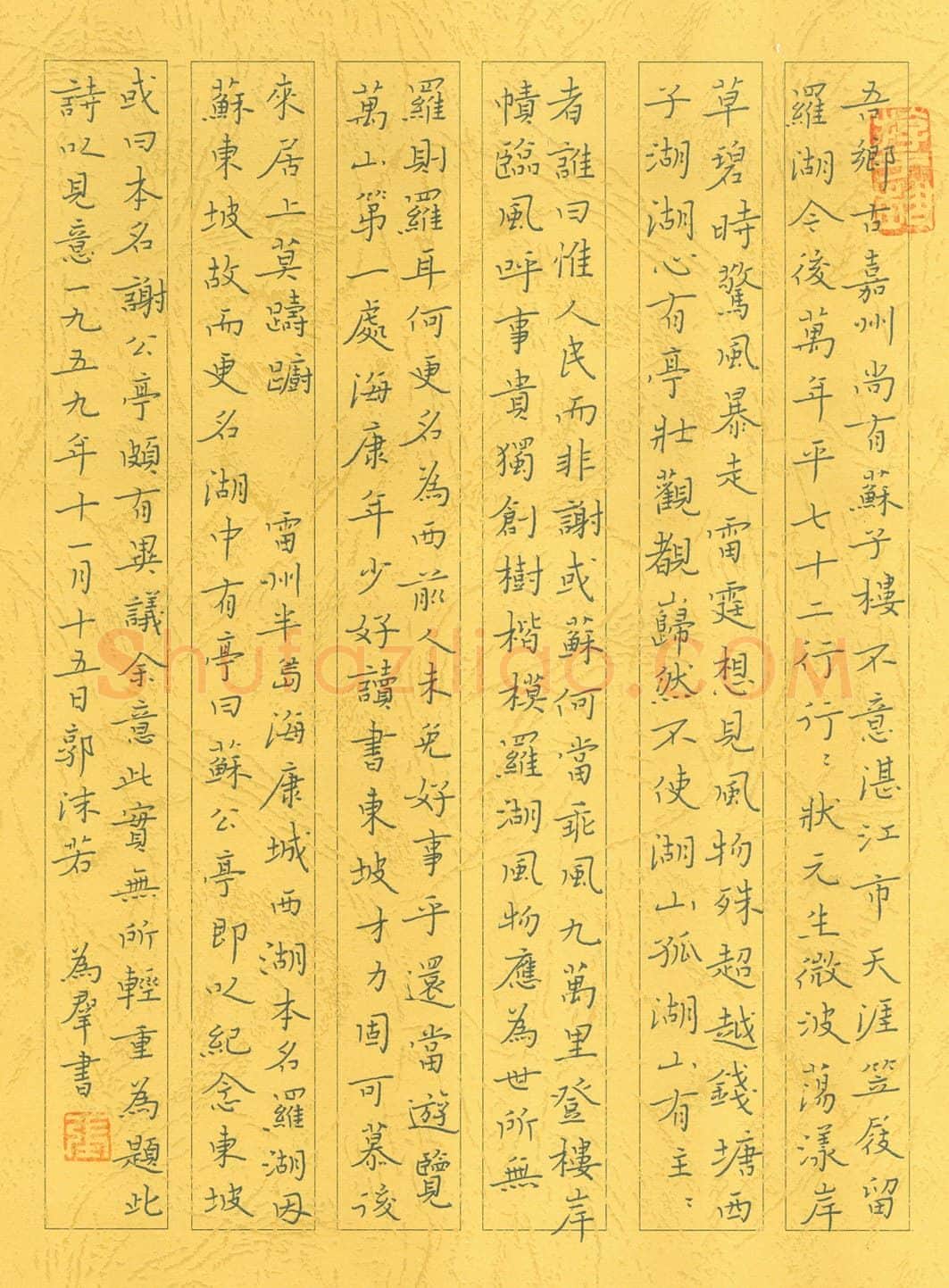 张为群硬笔楷书郭沫若雷州西湖诗,张为群硬笔书法作品