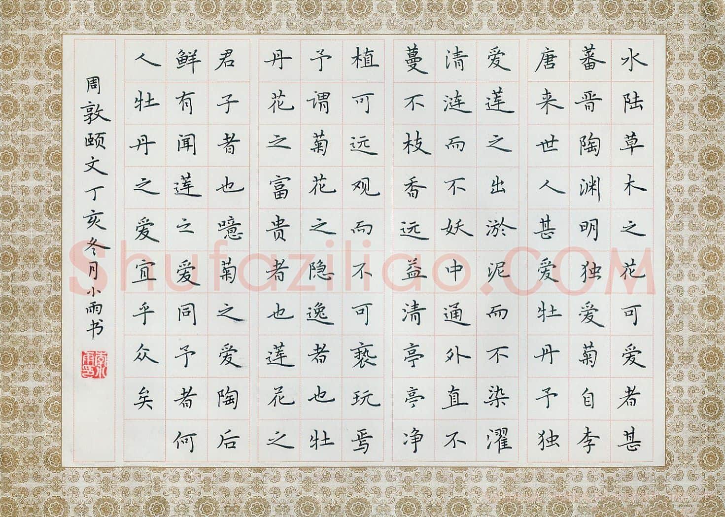 李小雨硬笔楷书周敦颐爱莲说,李小雨硬笔书法作品