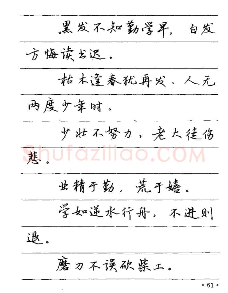 卢中南硬笔楷书字帖,摘自卢中南谚语名句钢笔字贴
