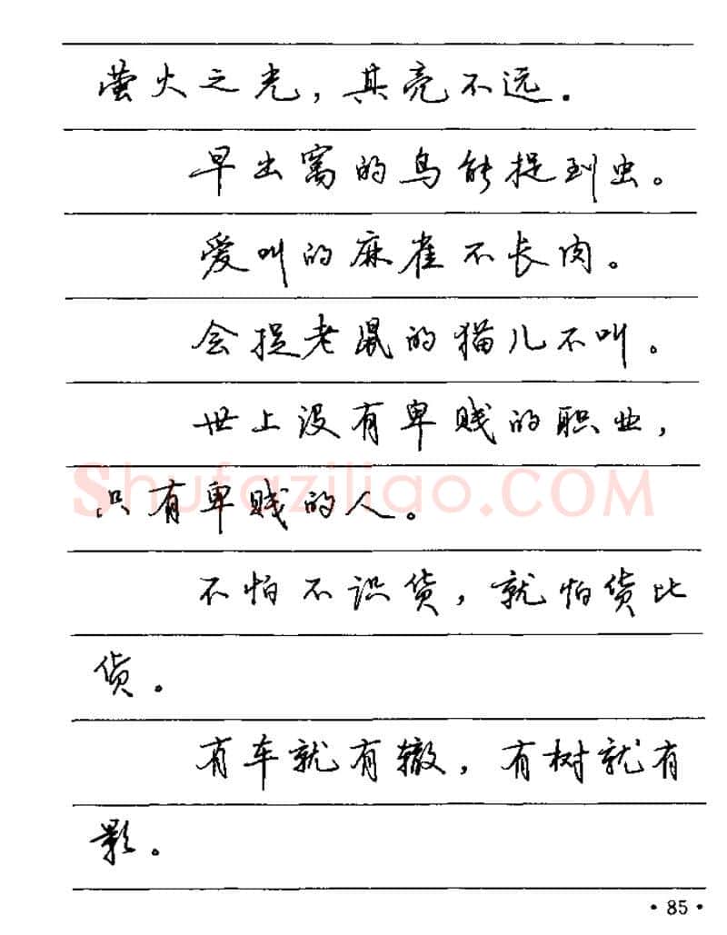 卢中南硬笔楷书字帖,摘自卢中南谚语名句钢笔字贴