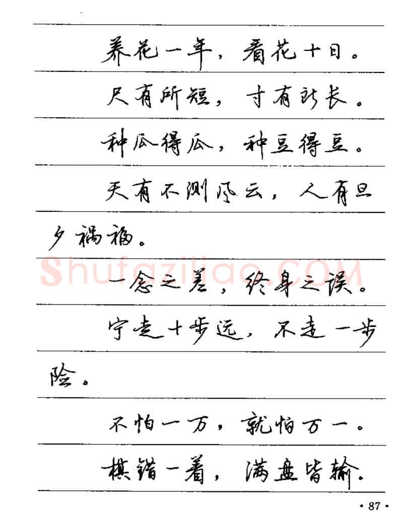 卢中南硬笔楷书字帖,摘自卢中南谚语名句钢笔字贴