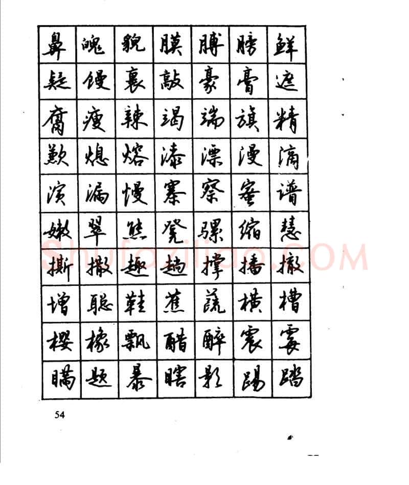 沈鸿根硬笔行书字帖,摘自沈鸿根 江鸟钢笔行书字帖