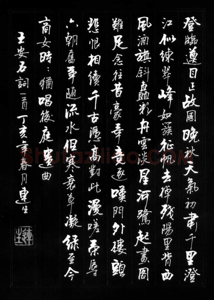 王连生硬笔行书王安石词一首,硬笔书法作品
