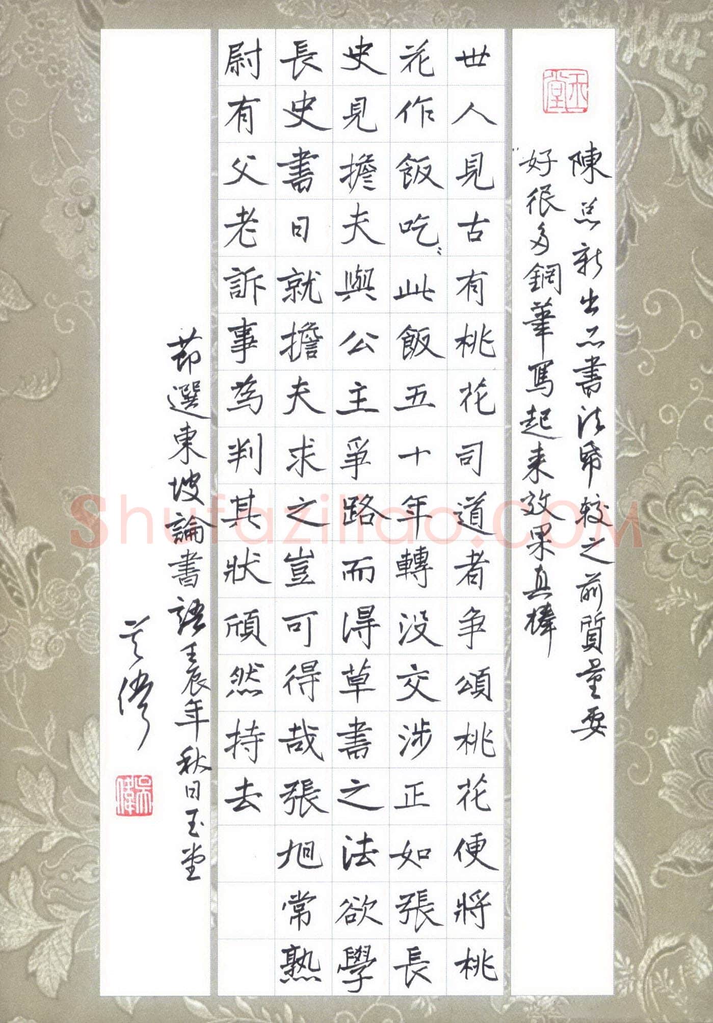 吴伟硬笔楷书节选东坡书论,吴伟硬笔书法作品