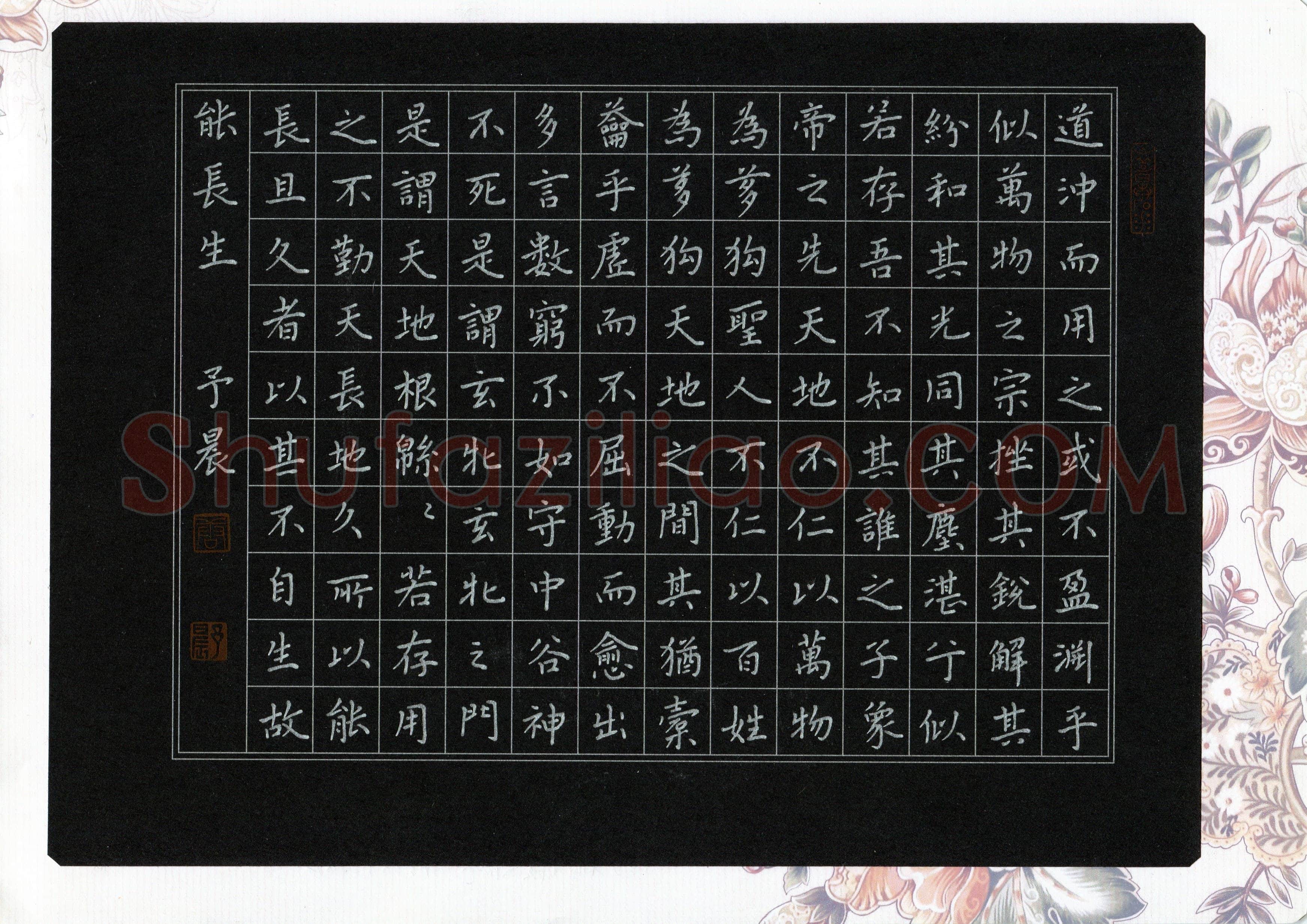 唐予晨(少儿组 17岁 银奖)硬笔书法大赛获奖作品,唐予晨硬笔书法作品
