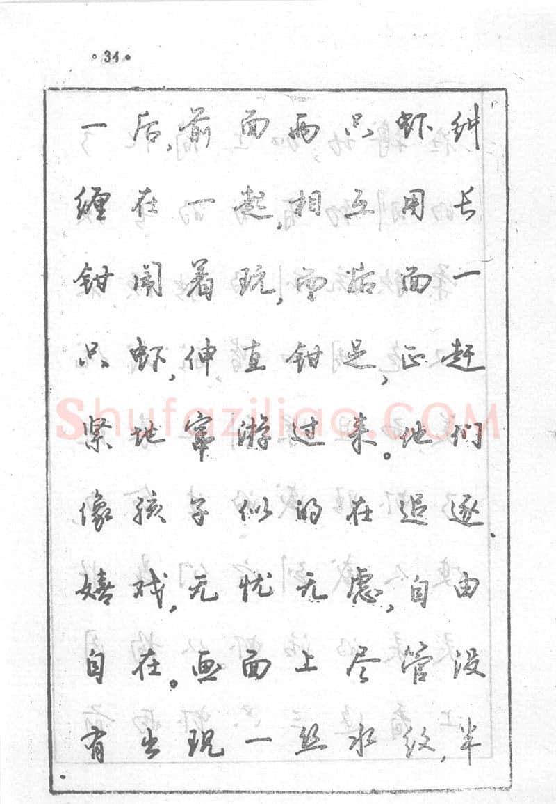 沈鸿根硬笔行书字帖,摘自沈鸿根 (江鸟)《钢笔行书横写字帖》( 完整版 )