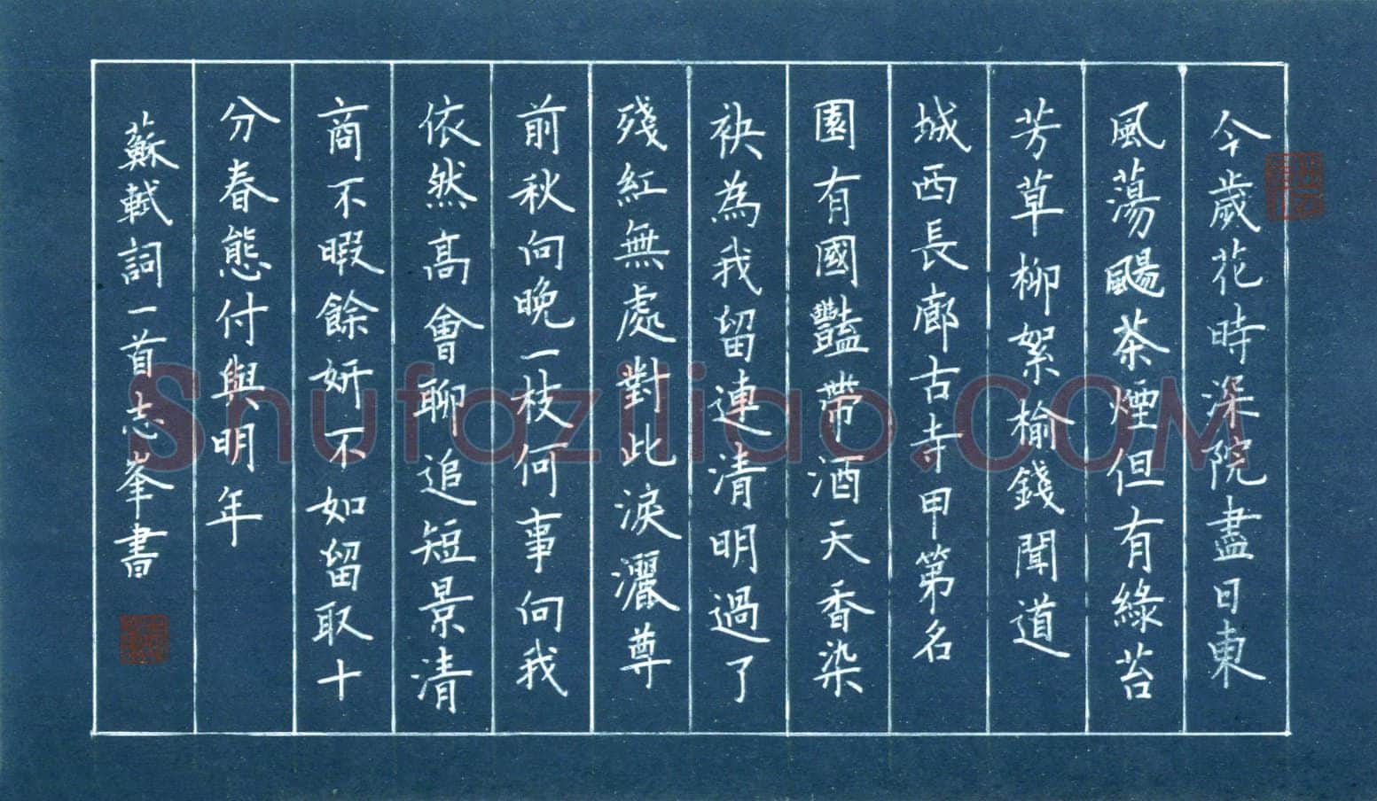 宋志峰硬笔楷书苏轼词一首,宋志峰硬笔书法作品
