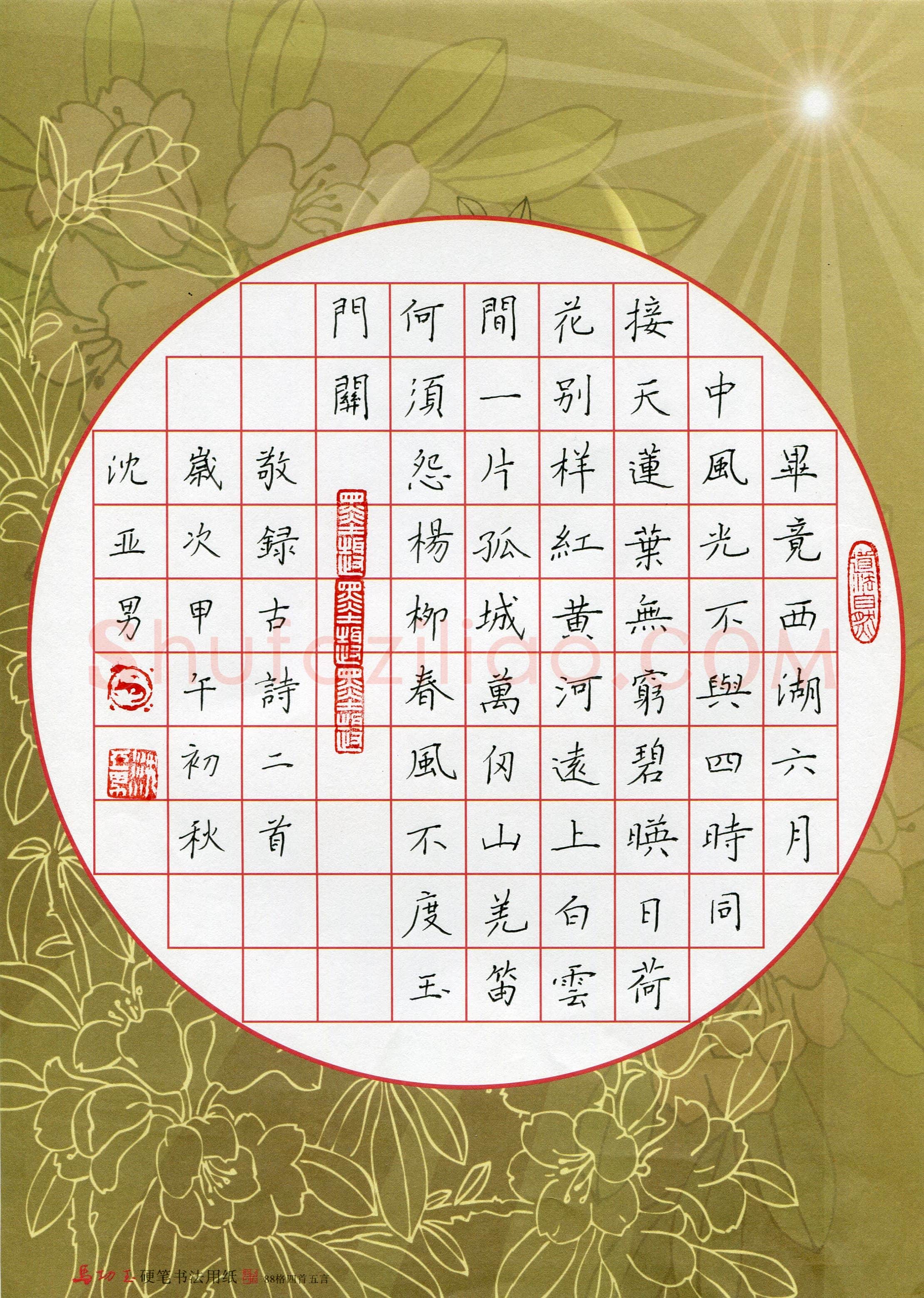 沈亚男(少儿组 17岁 铜奖)硬笔书法大赛获奖作品,沈亚男硬笔书法作品