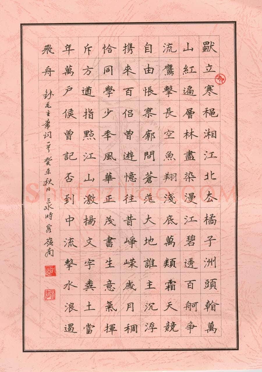 单永辉硬笔楷书毛泽东词一首,单永辉硬笔书法作品