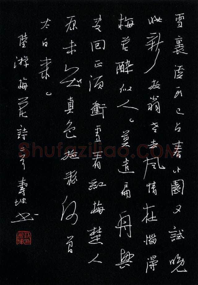 尹寿坤硬笔行书陆游梅花诗二首,尹寿坤硬笔书法作品