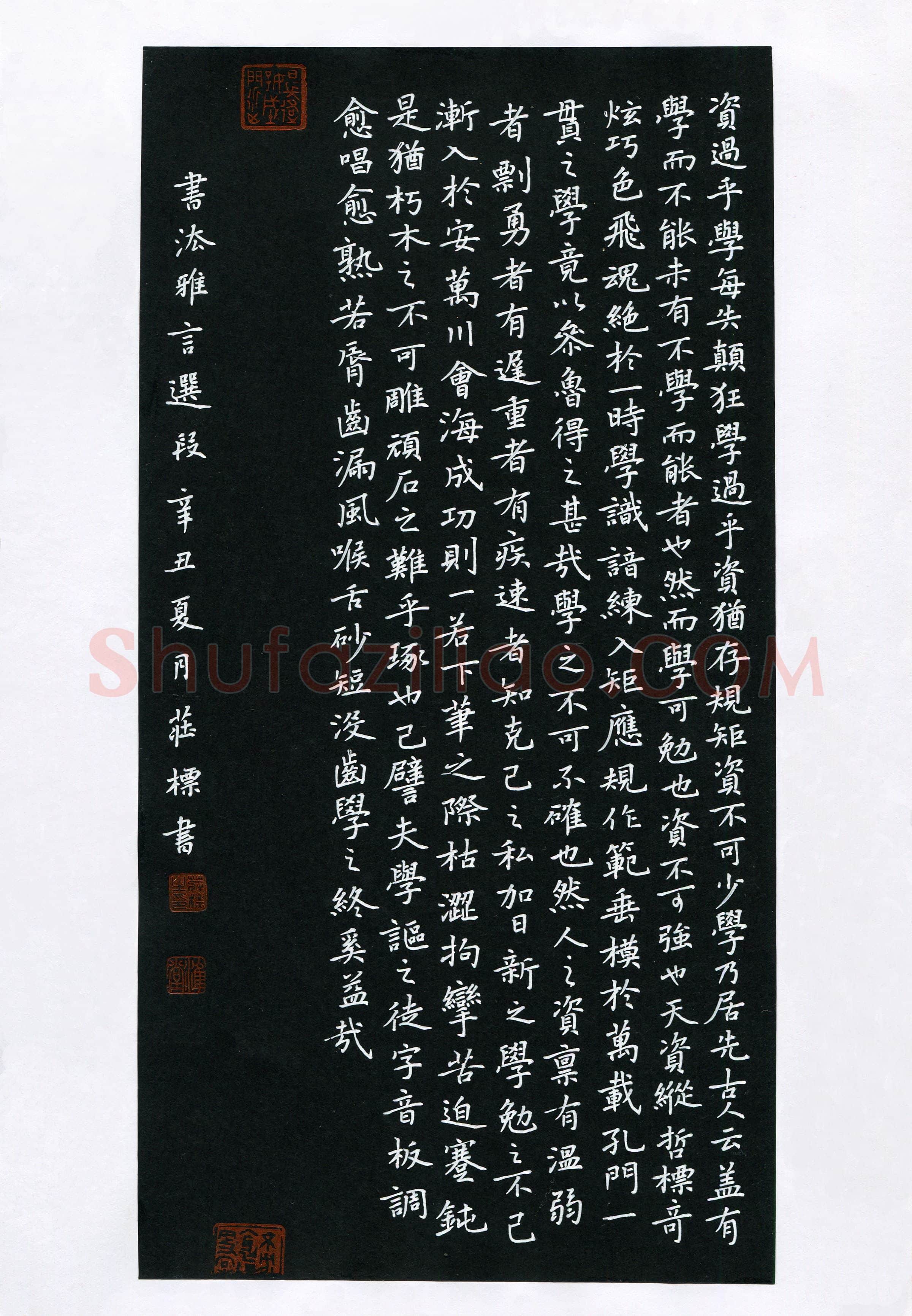 庄标(成人组 楷书 优秀奖)硬笔书法大赛获奖作品,庄标硬笔书法作品