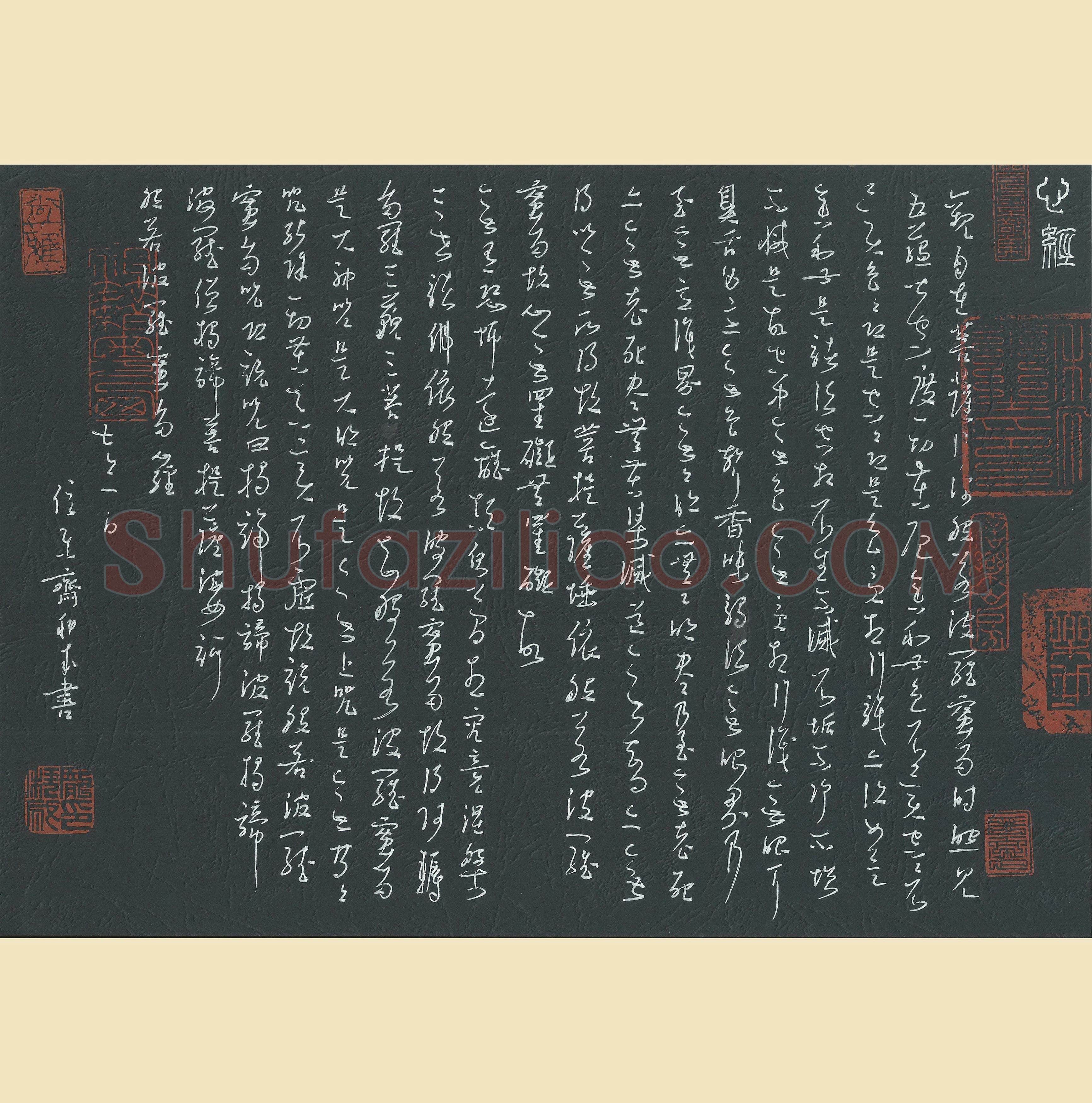 庞科成硬笔草书心经,庞科成硬笔书法作品