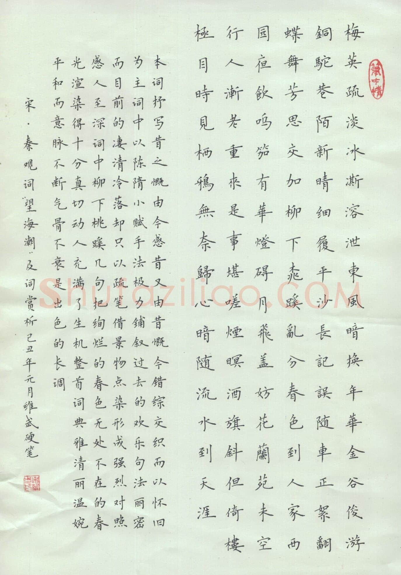 宋维武硬笔楷书秦观词望海潮,宋维武硬笔书法作品