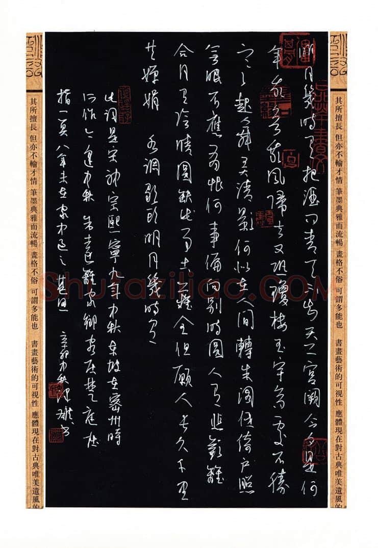 陈泽雄硬笔草书苏轼词一首,陈泽雄硬笔书法作品