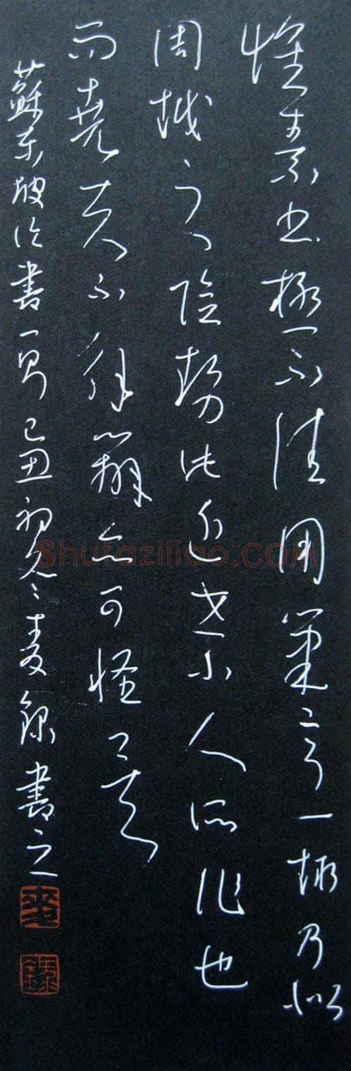 麦录硬笔草书苏东坡论书一则,麦录硬笔书法作品
