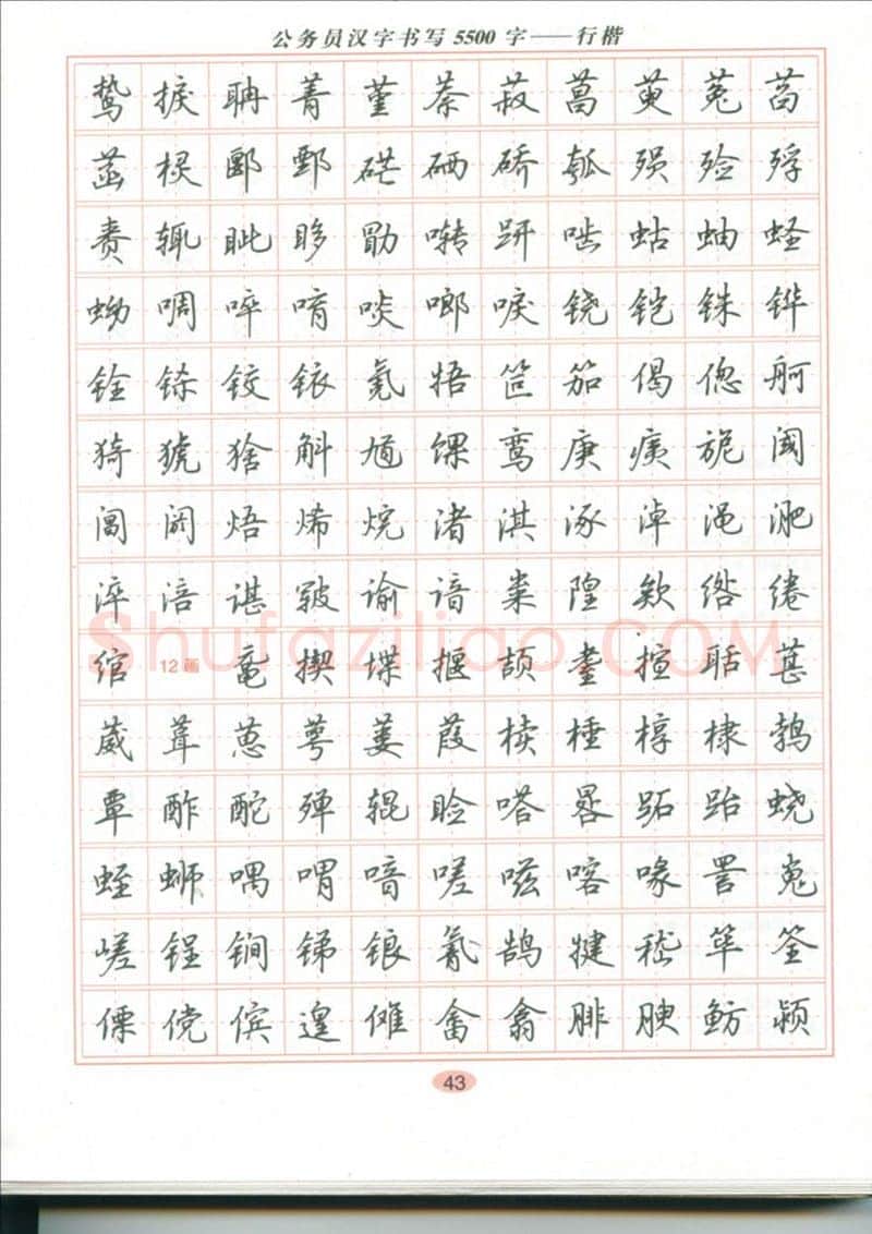 吴玉生硬笔硬笔字帖,摘自吴玉生 公务员汉字书写5500字行楷字帖