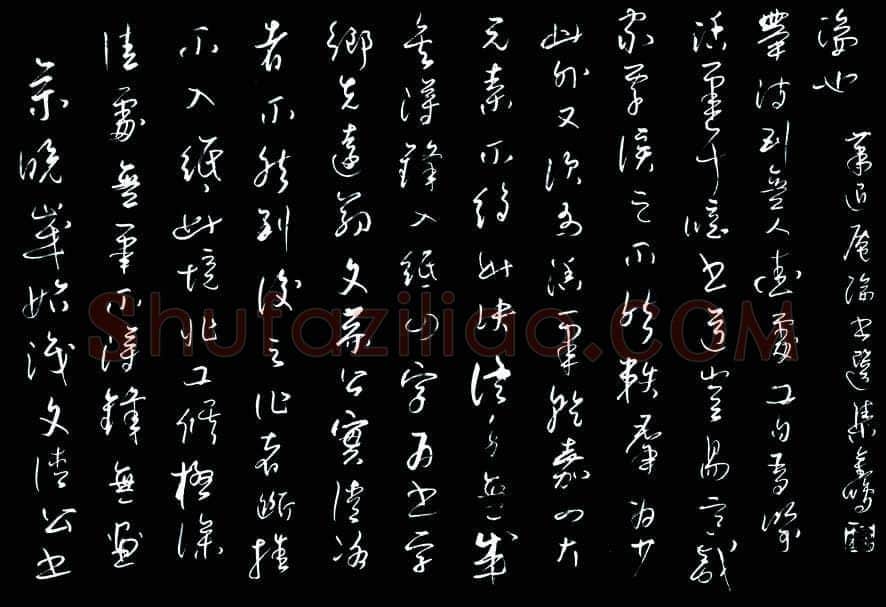雷金鹏硬笔草书萧退庵论书选,硬笔书法作品