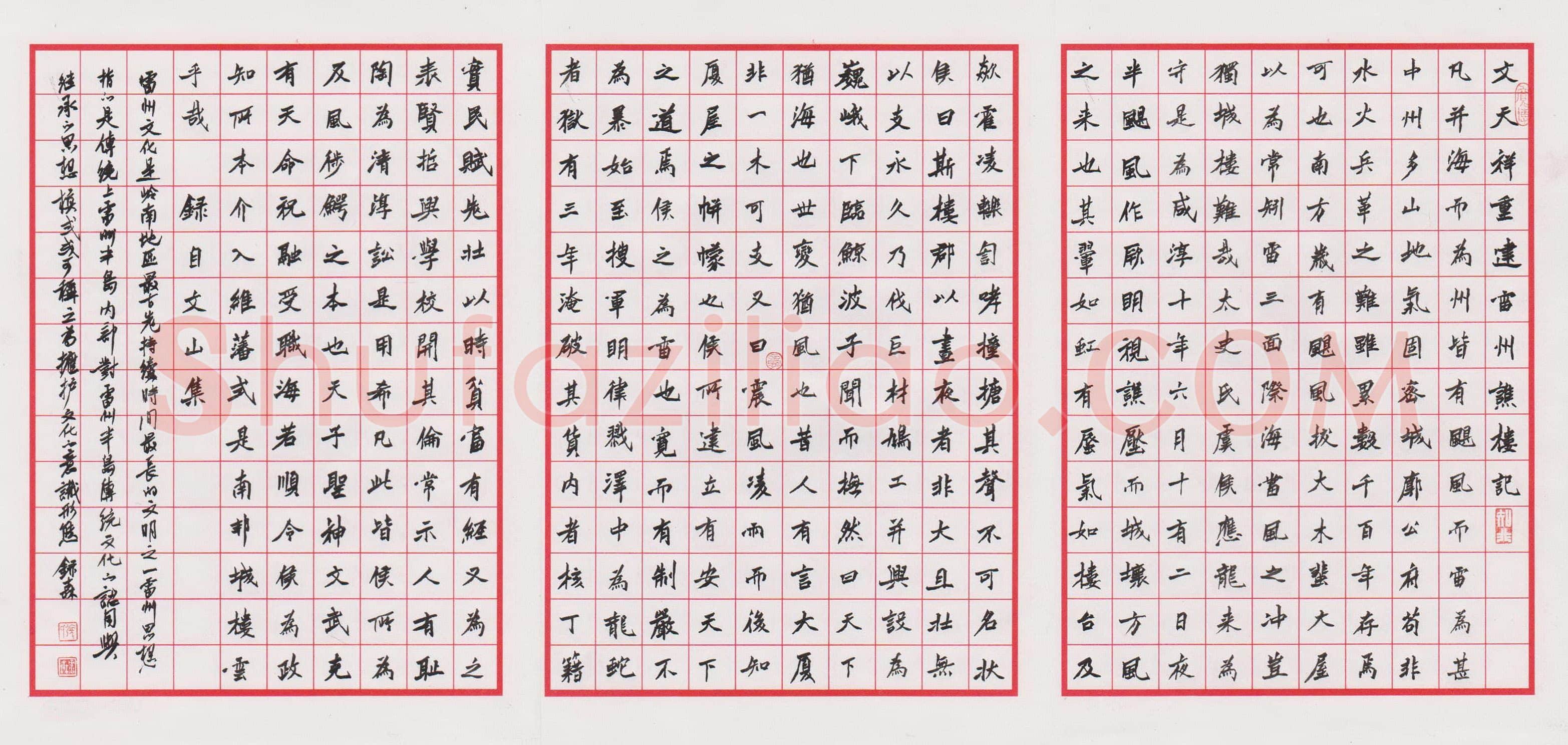 张录森硬笔楷书文天祥雷州谯楼记,硬笔书法作品
