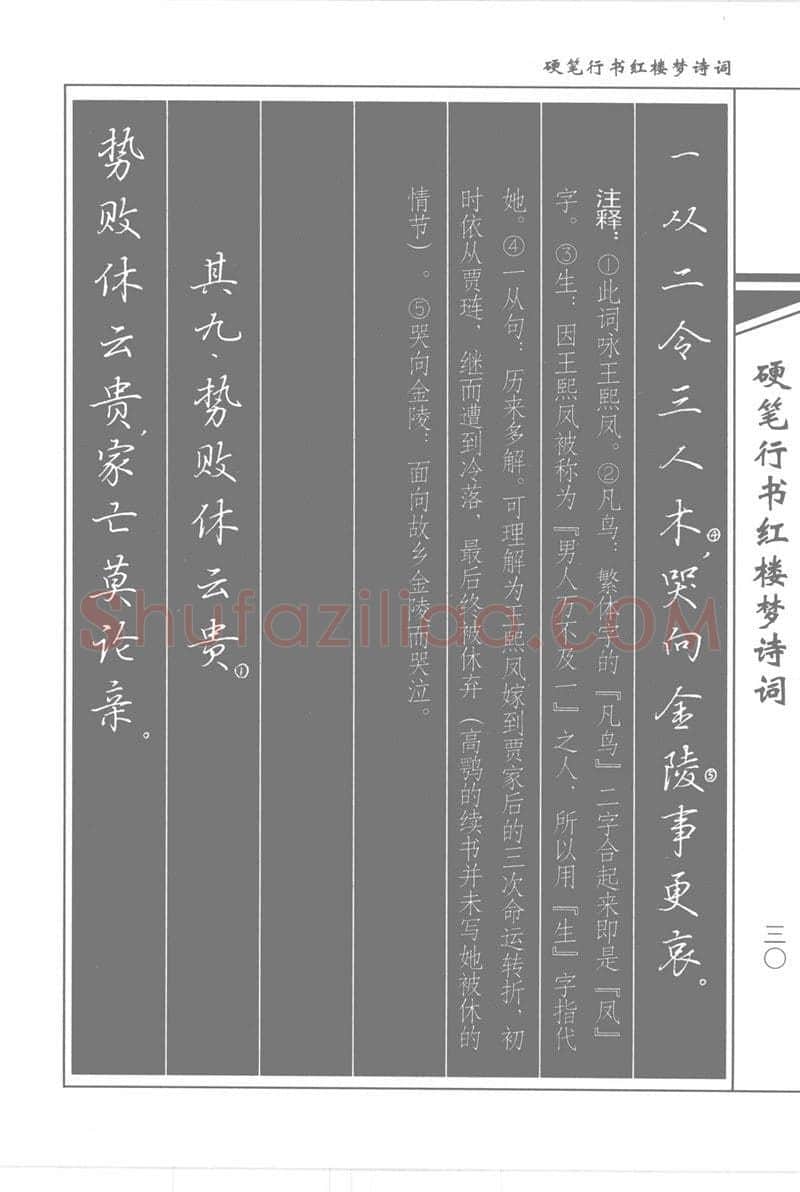 吴玉生硬笔行书字帖,摘自吴玉生硬笔行书红楼梦诗词