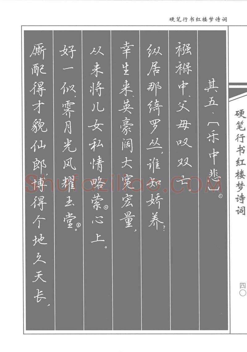 吴玉生硬笔行书字帖,摘自吴玉生硬笔行书红楼梦诗词