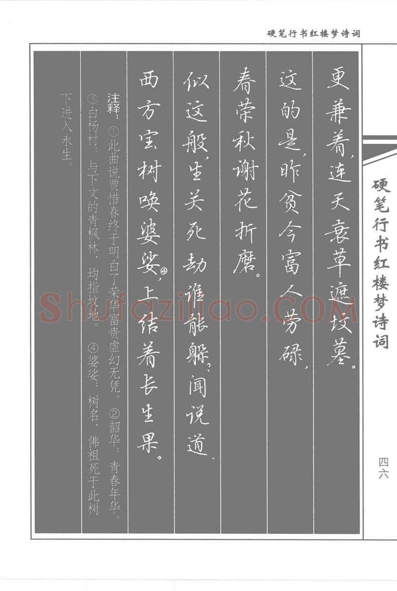 吴玉生硬笔行书字帖,摘自吴玉生硬笔行书红楼梦诗词
