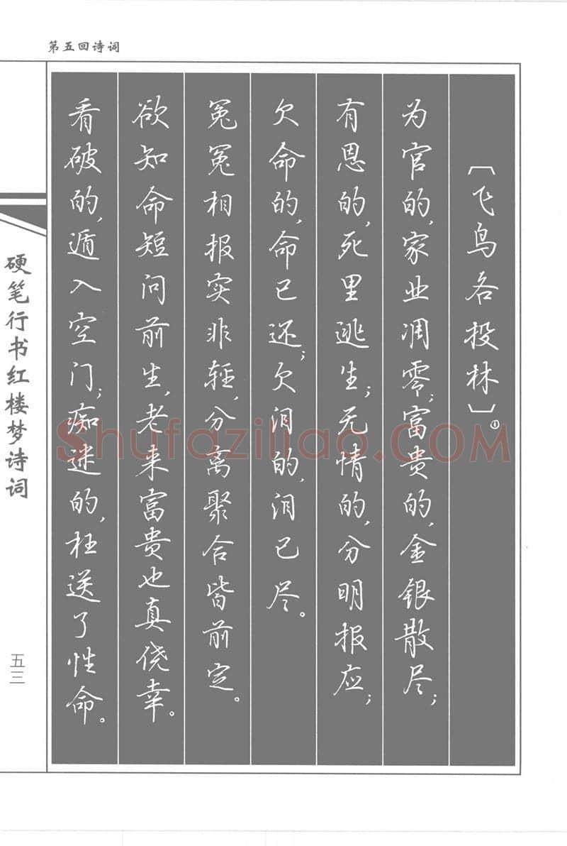 吴玉生硬笔行书字帖,摘自吴玉生硬笔行书红楼梦诗词