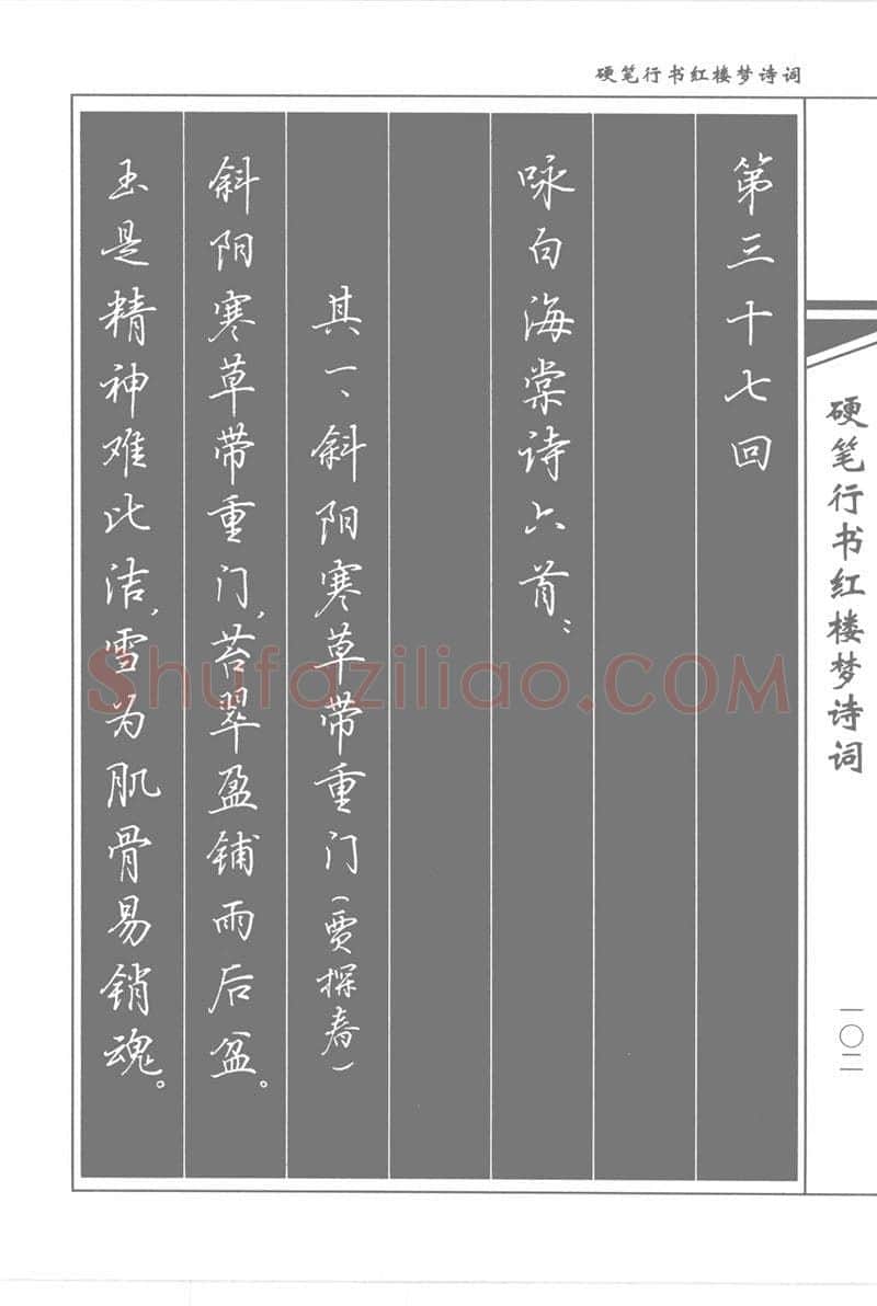 吴玉生硬笔行书字帖,摘自吴玉生硬笔行书红楼梦诗词
