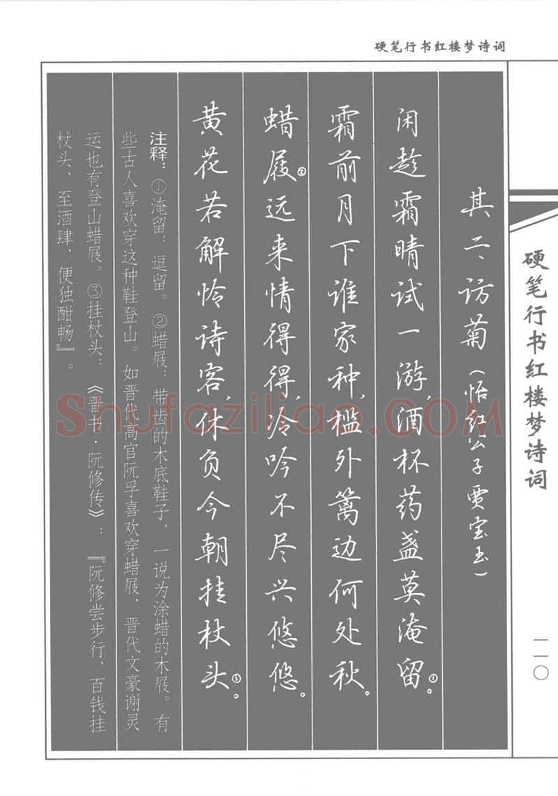 吴玉生硬笔行书字帖,摘自吴玉生硬笔行书红楼梦诗词