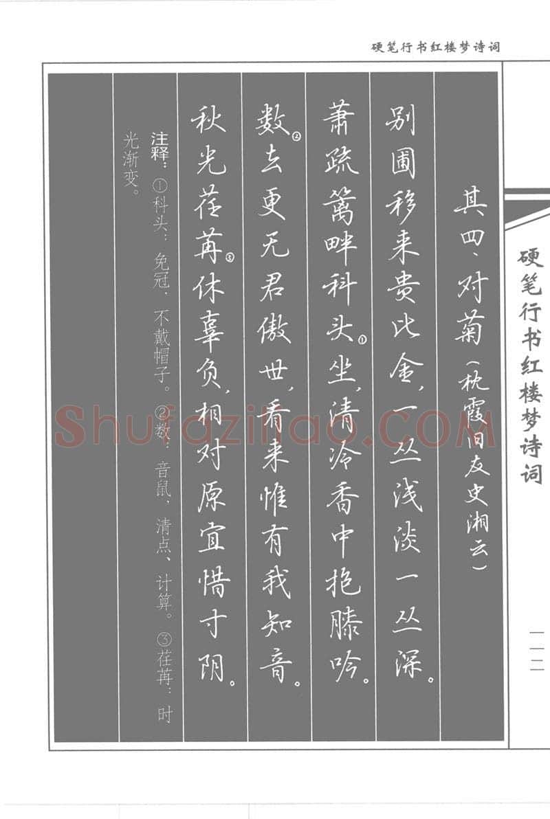 吴玉生硬笔行书字帖,摘自吴玉生硬笔行书红楼梦诗词