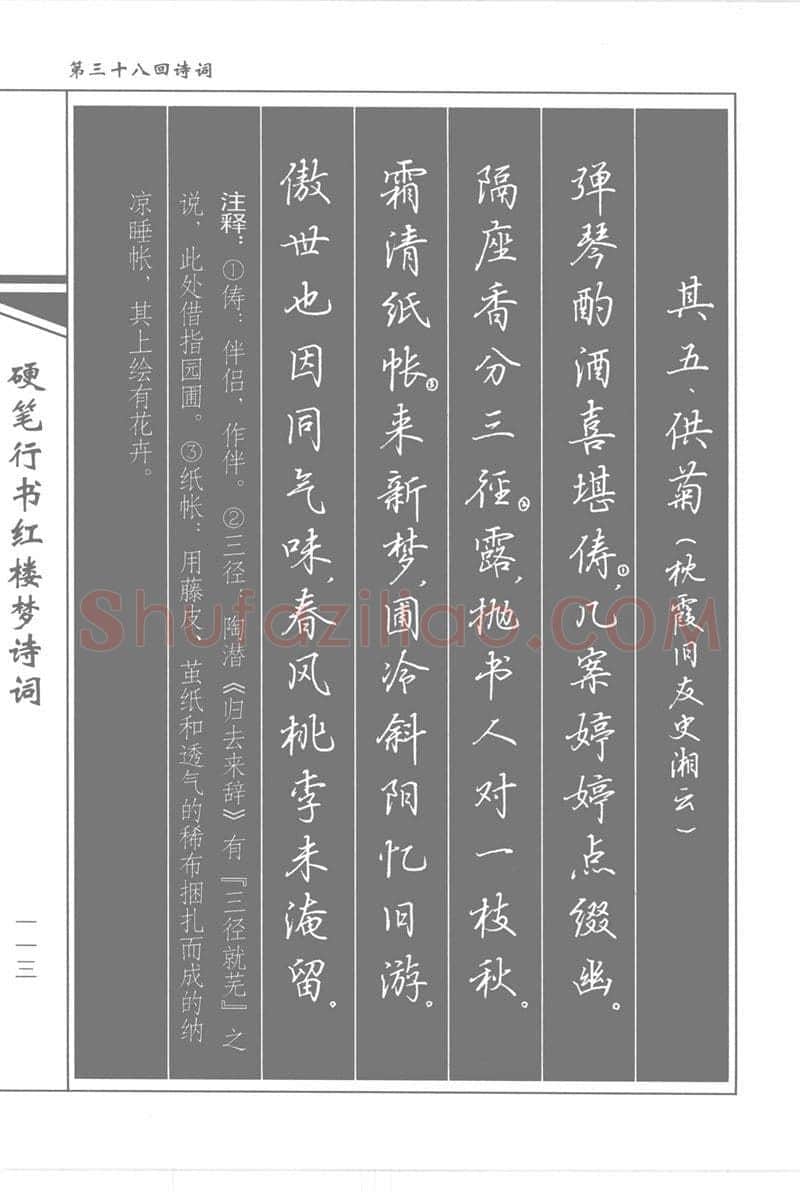 吴玉生硬笔行书字帖,摘自吴玉生硬笔行书红楼梦诗词