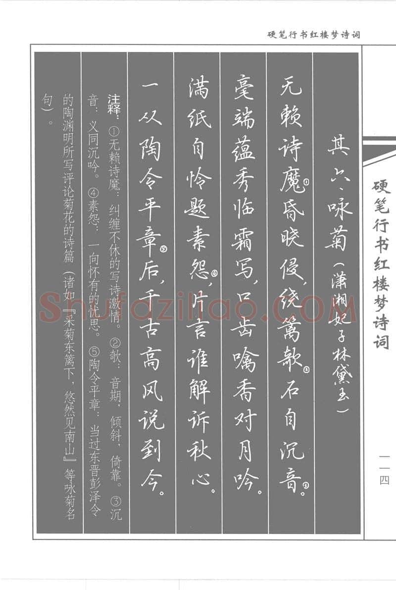 吴玉生硬笔行书字帖,摘自吴玉生硬笔行书红楼梦诗词