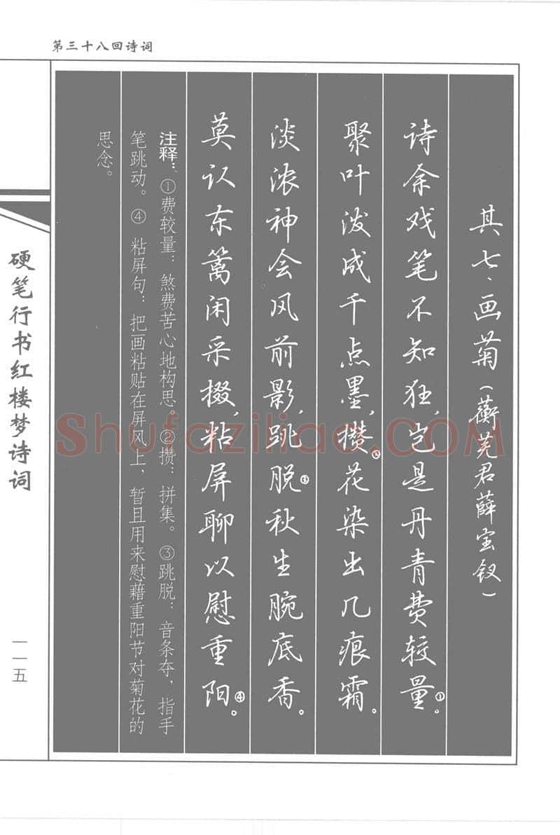 吴玉生硬笔行书字帖,摘自吴玉生硬笔行书红楼梦诗词