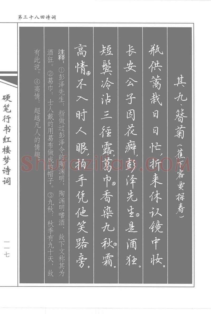 吴玉生硬笔行书字帖,摘自吴玉生硬笔行书红楼梦诗词