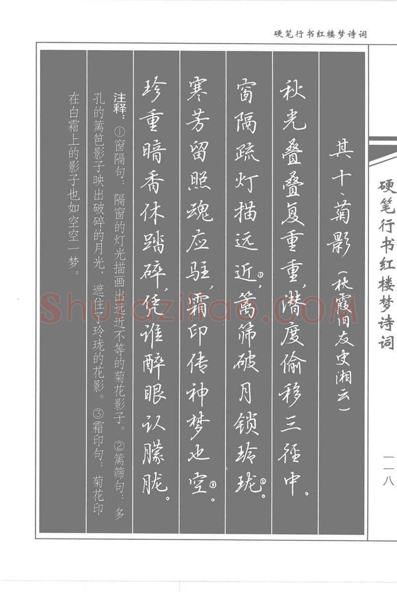 吴玉生硬笔行书字帖,摘自吴玉生硬笔行书红楼梦诗词