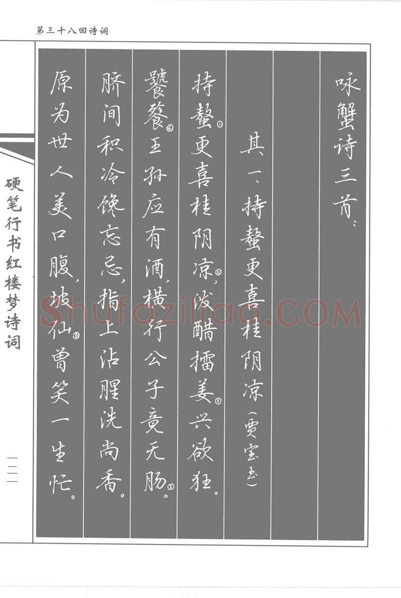 吴玉生硬笔行书字帖,摘自吴玉生硬笔行书红楼梦诗词