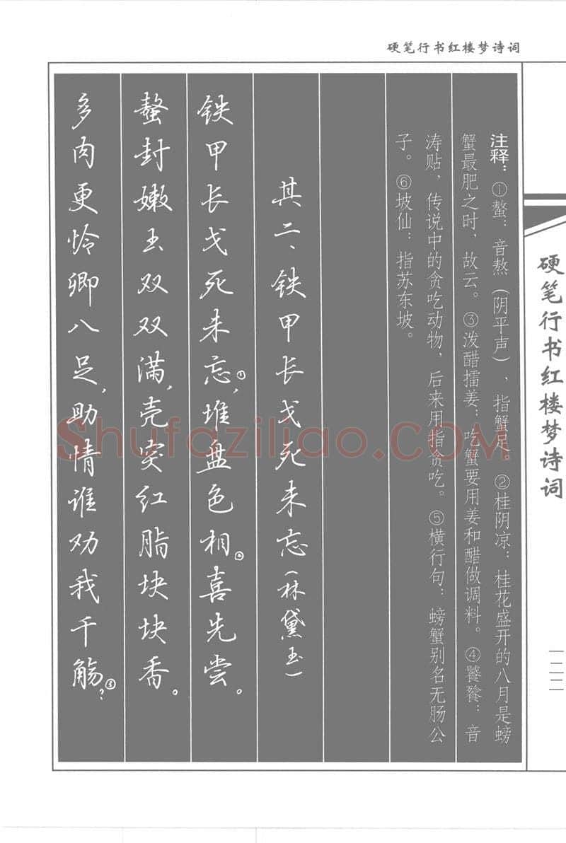 吴玉生硬笔行书字帖,摘自吴玉生硬笔行书红楼梦诗词
