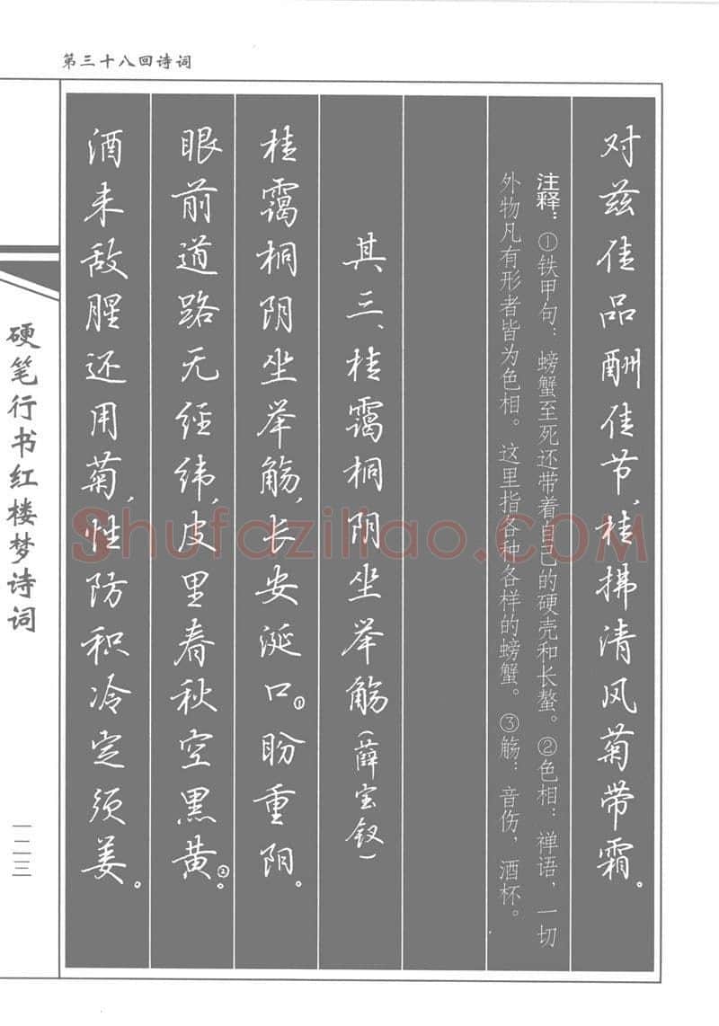 吴玉生硬笔行书字帖,摘自吴玉生硬笔行书红楼梦诗词