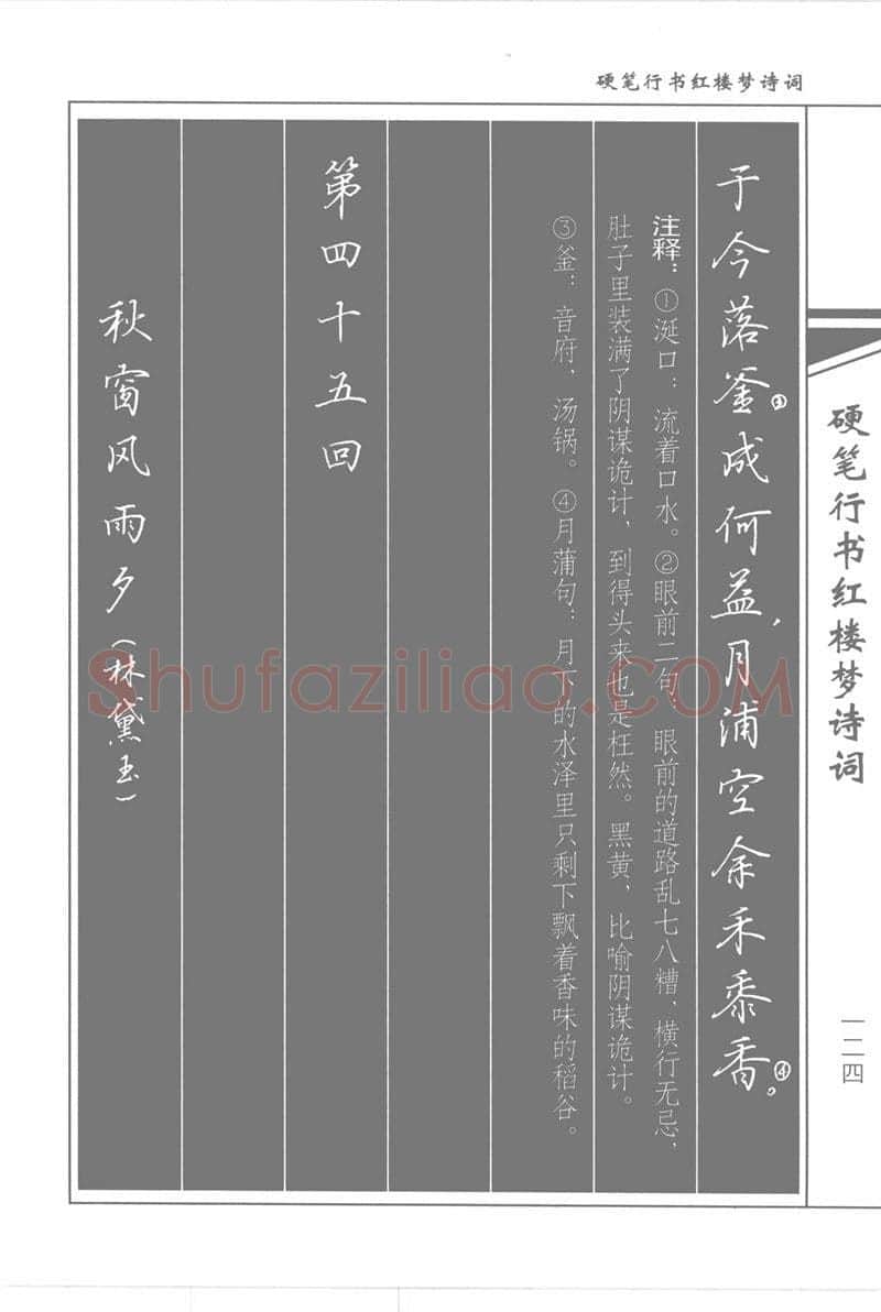 吴玉生硬笔行书字帖,摘自吴玉生硬笔行书红楼梦诗词