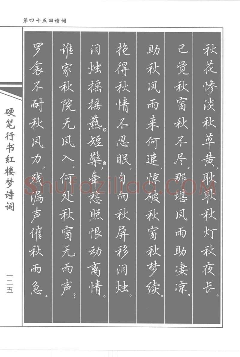 吴玉生硬笔行书字帖,摘自吴玉生硬笔行书红楼梦诗词