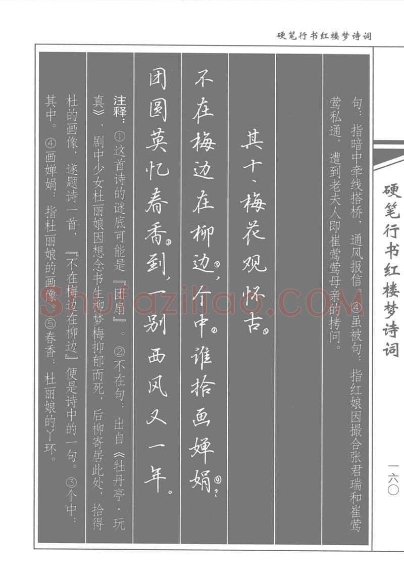 吴玉生硬笔行书字帖,摘自吴玉生硬笔行书红楼梦诗词