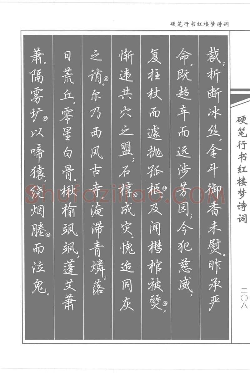 吴玉生硬笔行书字帖,摘自吴玉生硬笔行书红楼梦诗词