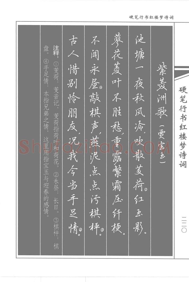 吴玉生硬笔行书字帖,摘自吴玉生硬笔行书红楼梦诗词