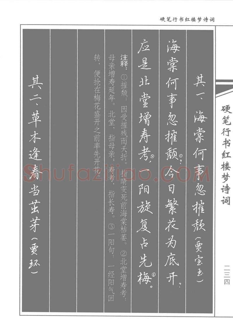 吴玉生硬笔行书字帖,摘自吴玉生硬笔行书红楼梦诗词